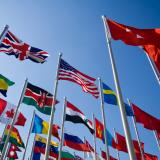 United Nations flags
