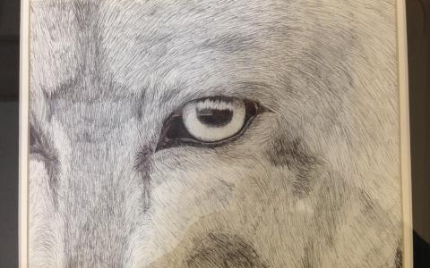 2014artcontestwinner